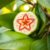 Star Apple – właściwości, składniki i zdrowotne korzyści owocu
