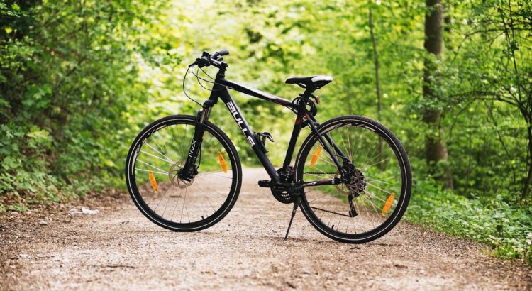 bicycle, bike, forest, path, sports, outdoors, nature, dirt road, mountain bike, wheels, bicycle wheels, parked, park, woods